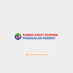 Logo Rumah Sakit Efarina Pangkalan Kerinci