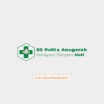 Logo Rumah Sakit Pelita Anugerah Demak