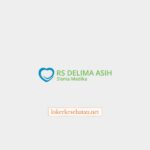 Logo Rumah Sakit Delima Asih Sisma Medika