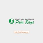 Logo Rumah Sakit Ibu Dan Anak Pala Raya